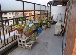 201507_e_2127_53_3.jpg
