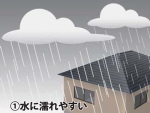 sk_premium_roof_01_1.jpg